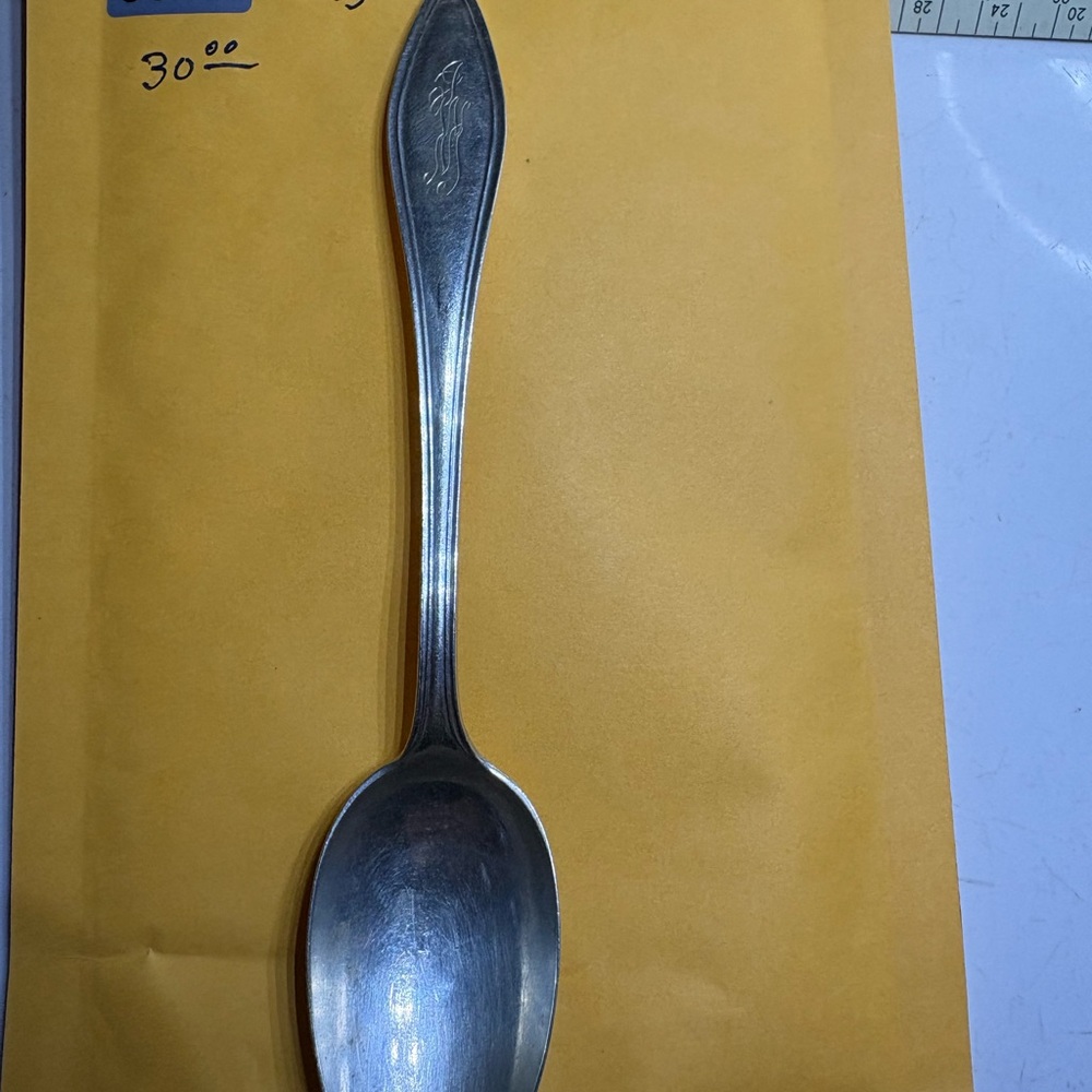 Chic Silver Spoon